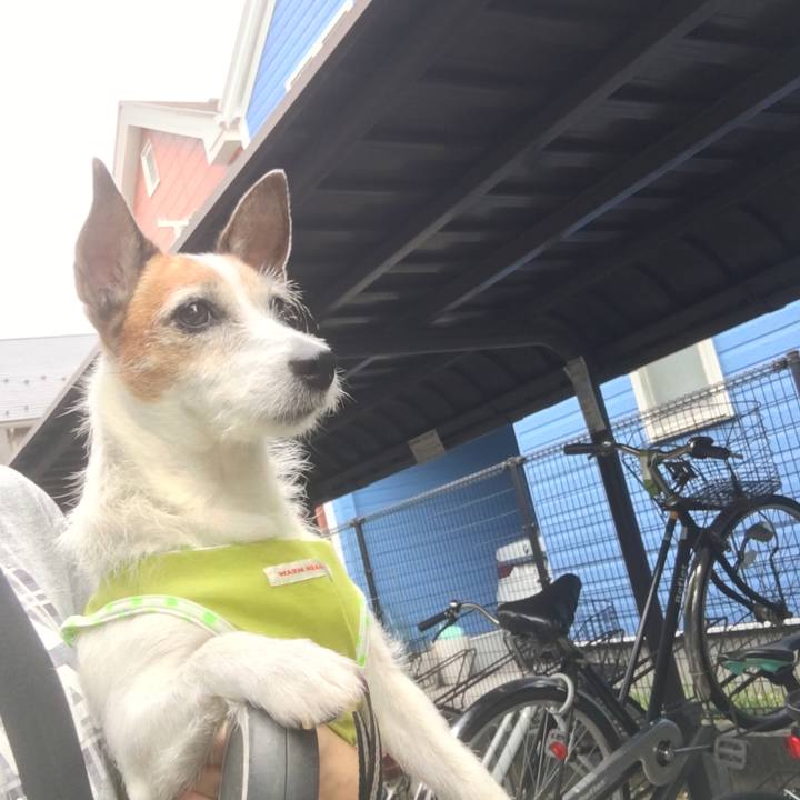 D5340771 73fd 4a07 9897 dd7a6c76ff5f 1656977224811