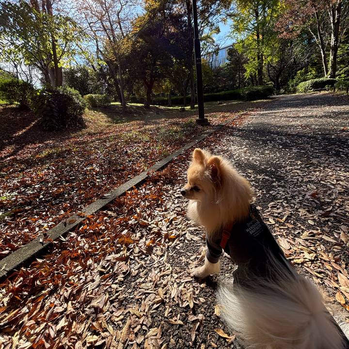 D534127a 4958 4f2e 9828 ea04135ad6a6 1763506571501