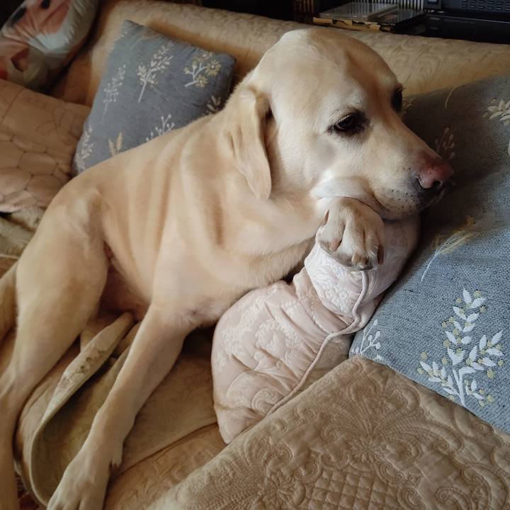 D5341746 c01d 43cb 9e40 9195a5ddb6a9 1693536919677