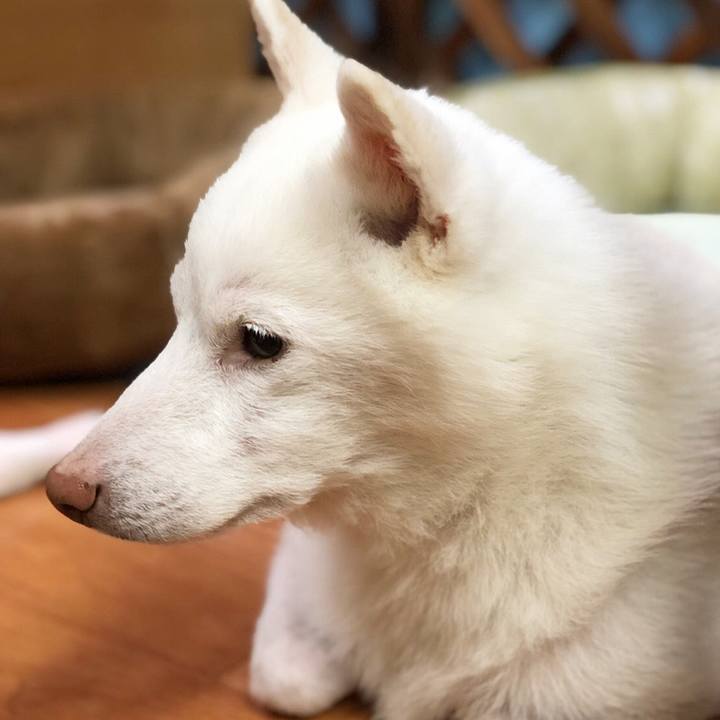 D5341b88 205f 41af 9f81 b1efb70f07fa 1756721425905