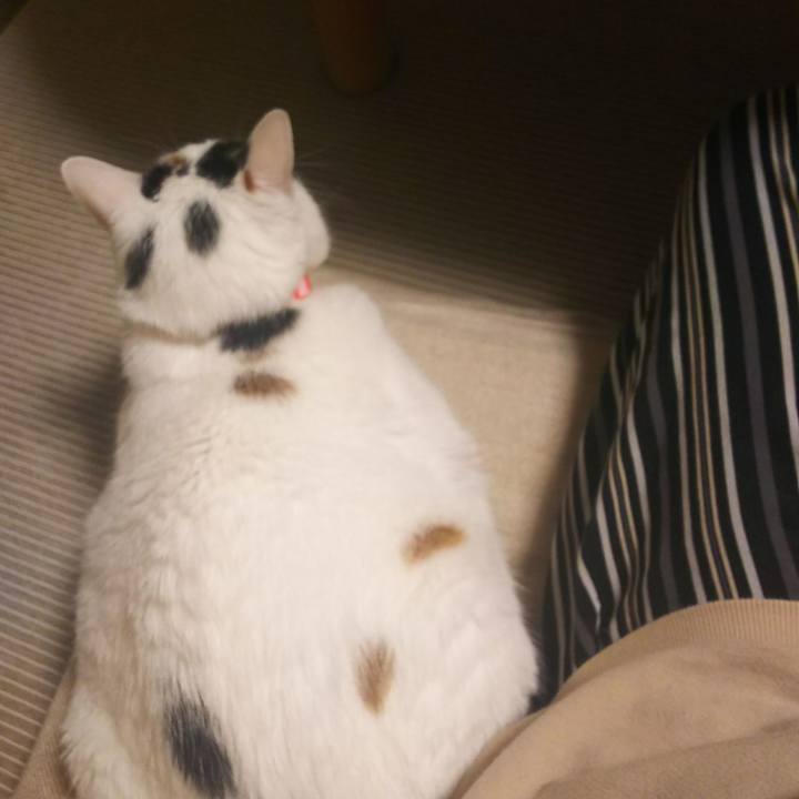 D5344f4e 91e9 4c67 bcfe d3b443fdd116 1528726054744