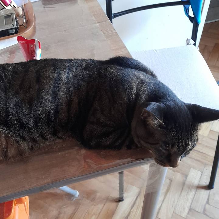 D534ab02 3d69 408a 89cb a13580c704f2 1768500853114