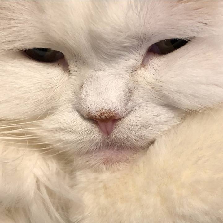 D534b4c3 1b3d 4dca 93cc a5f6e4f714da 1758673933507