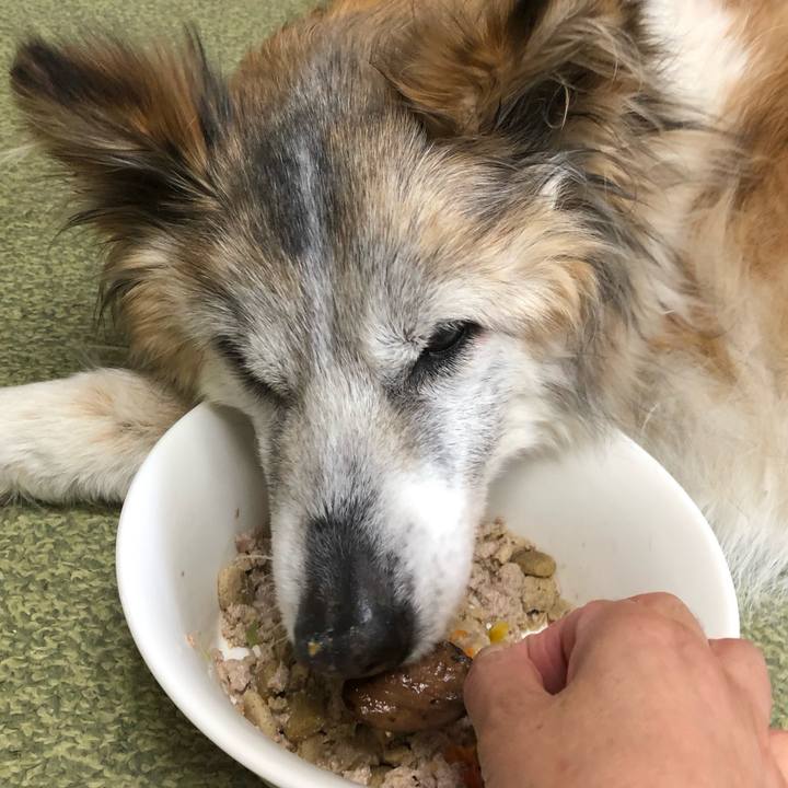 D534cb66 3f9a 4e0d 9878 0b8c6adc134a 1560396175457