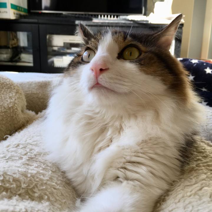 D534d3ae ab33 411f 953b c7e9f49bc783 1546909759895