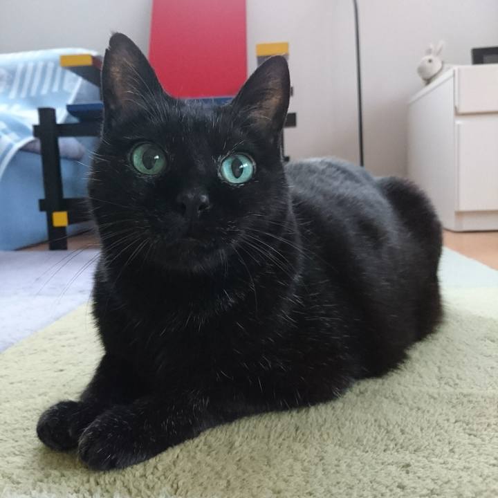 D534eb87 04c5 46bf a66a a425913cd86b 1603194668511