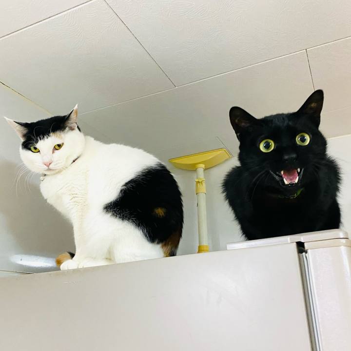 D5350c19 6ba4 479d a047 21253f4c025e 1674949193540