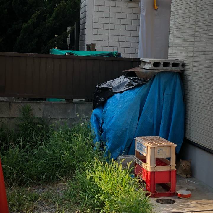 D535303c 3699 4cae 83e1 35b912ffa74a 1565554648062