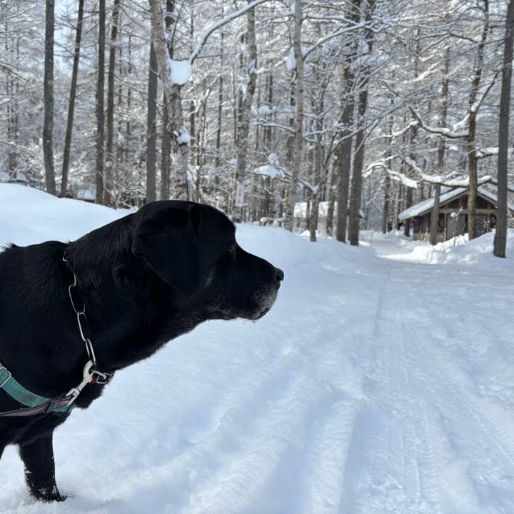 D5354214 01b3 4675 975f d84b9c90ced4 1770032372774