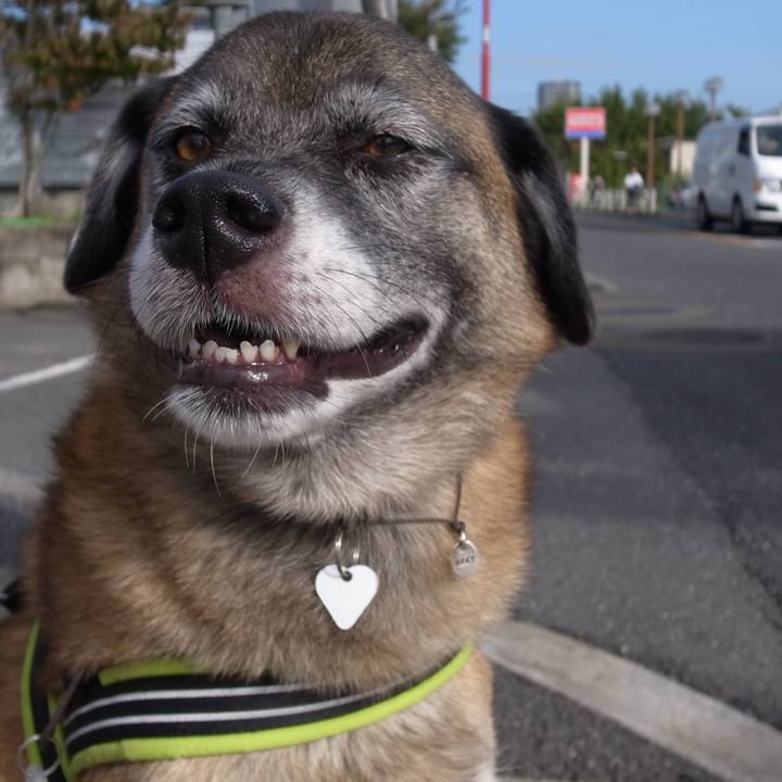 D535489d 7b7c 45d8 9d22 fab784f9ed55 1582800600237