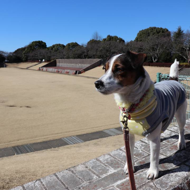 D53557f3 4881 4db0 9007 9c8d60a60721 1517977633060