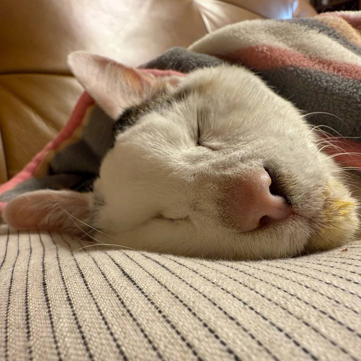 D5355852 a76f 4280 8cd8 0c1bb9b7453c 1771420343515