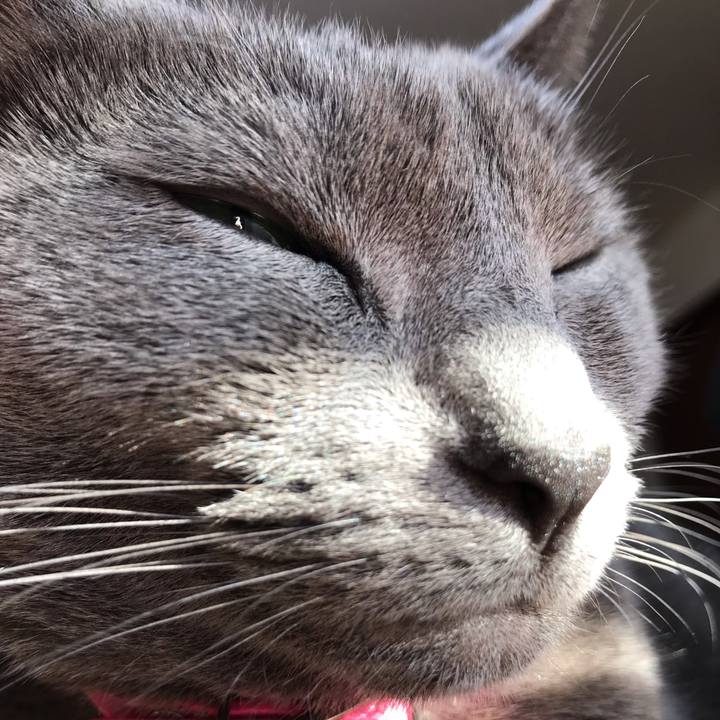 D53566f1 4b7d 4688 bc08 6254756a4e45 1549080449858