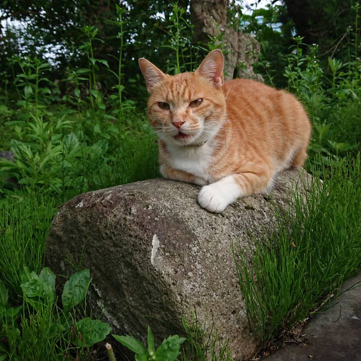 D5359e7d bd9b 4afa 8182 a84a5f11b0e3 1594632383768