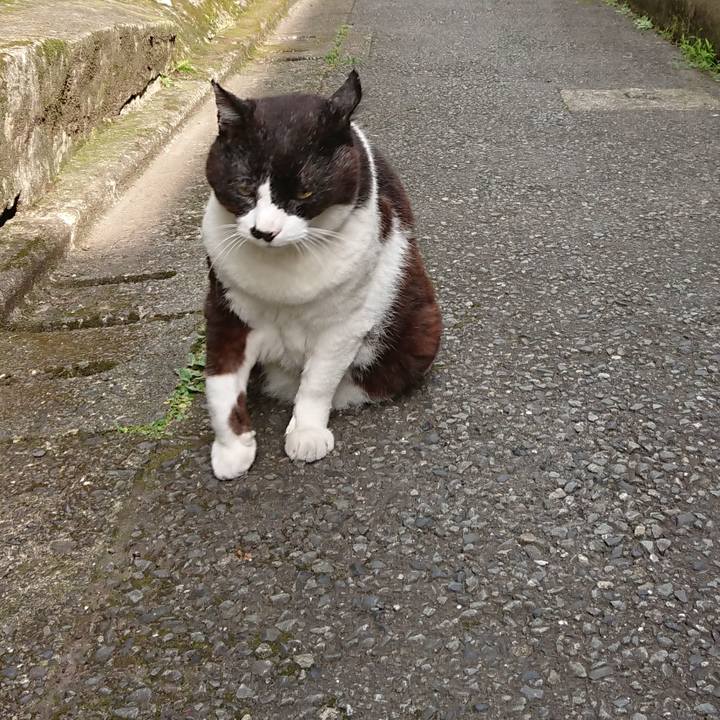 D535a952 bf85 4e2c ba0d e0963635840d 1687822914639