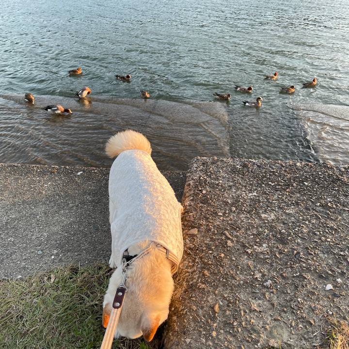 D535c4f6 fe08 4418 905a dbe20ff9111b 1638351981353