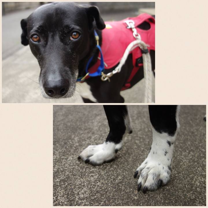 D53605a2 a0e6 4d53 ae4f 432d335db697 1683419904516