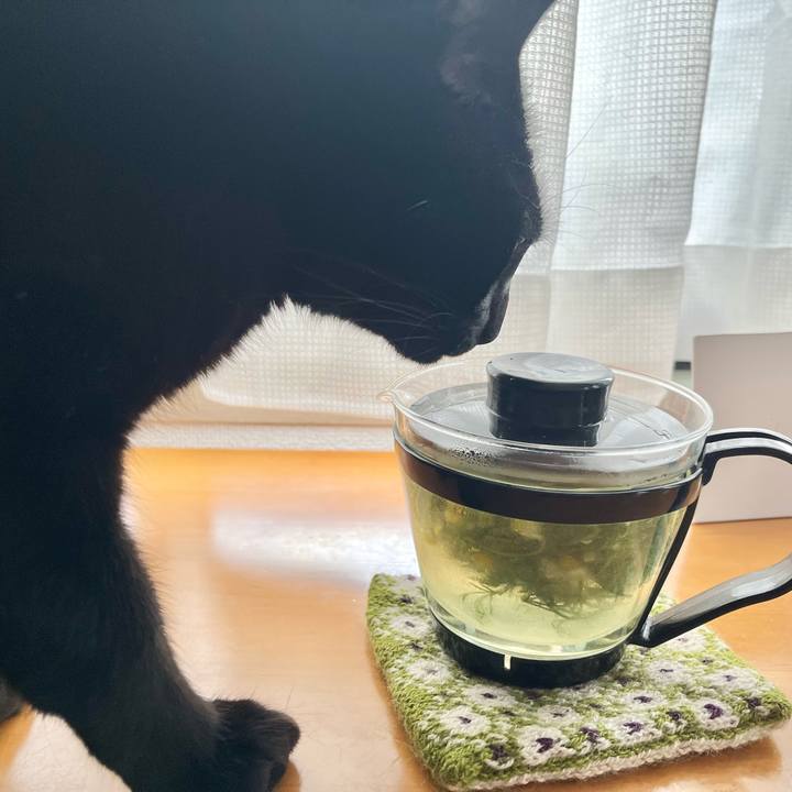 D5360b0b 0a0a 4900 bba1 e4b1ed2f991f 1681776369876