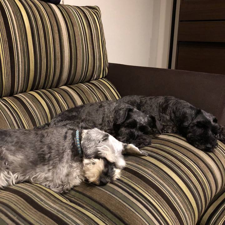 D5362b16 630a 4718 b82f 5a3fe902ca40 1528112930103