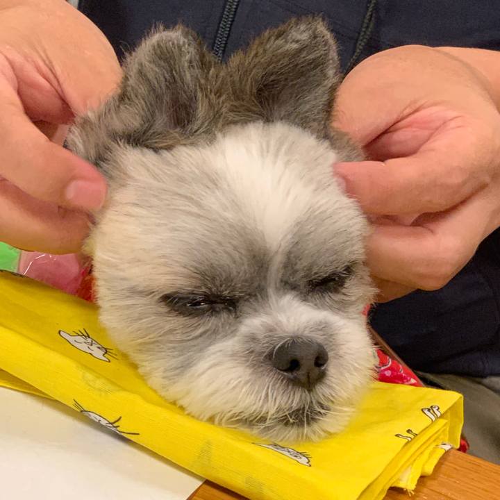 D5367239 5af5 49d9 a75f 649f26534cb6 1564632419611