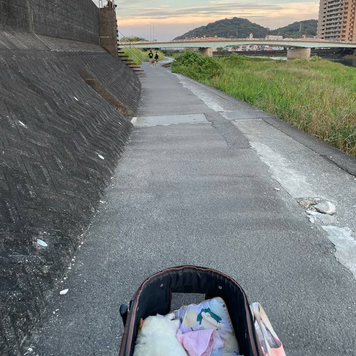 D53680c7 76d6 47fd ad09 6350e65f3722 1661515329376