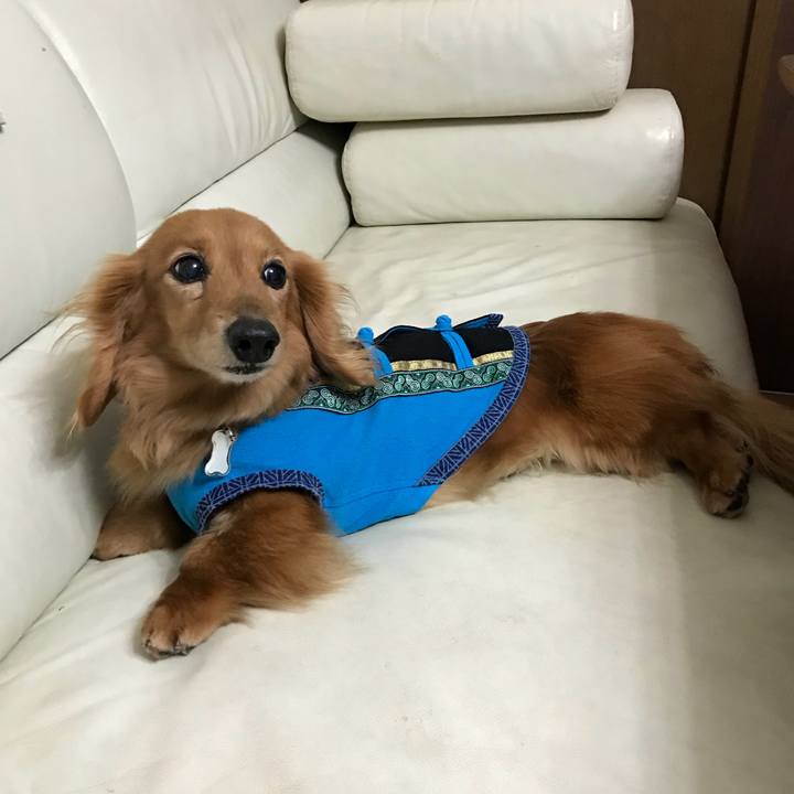 D5368753 35c4 4a78 8bdb 103ca536330b 1526043551480