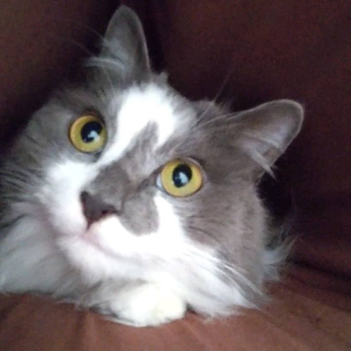 D536c392 652f 432b b7fa a2a081740b68 1683275247228