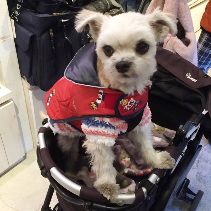 D536ca2a f06d 43c6 a8c2 929c9c7ce4d4 1548584072447