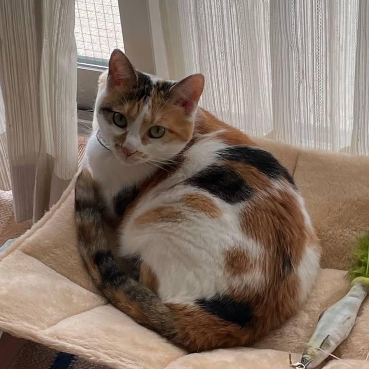 D536ced2 fd5a 4330 af99 01465afb8044 1727074624799