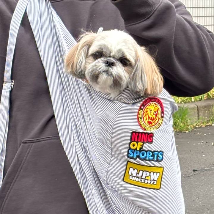 D536d6c9 f983 482b a728 f7c2cb2df538 1745296519804