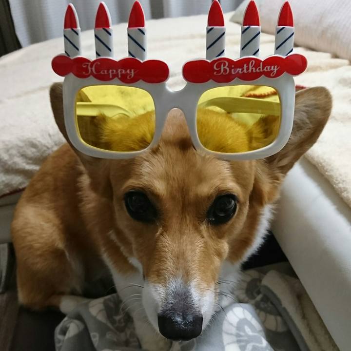 D536e2df 2f8b 40a5 bcfa 41c67d919f78 1551695274115