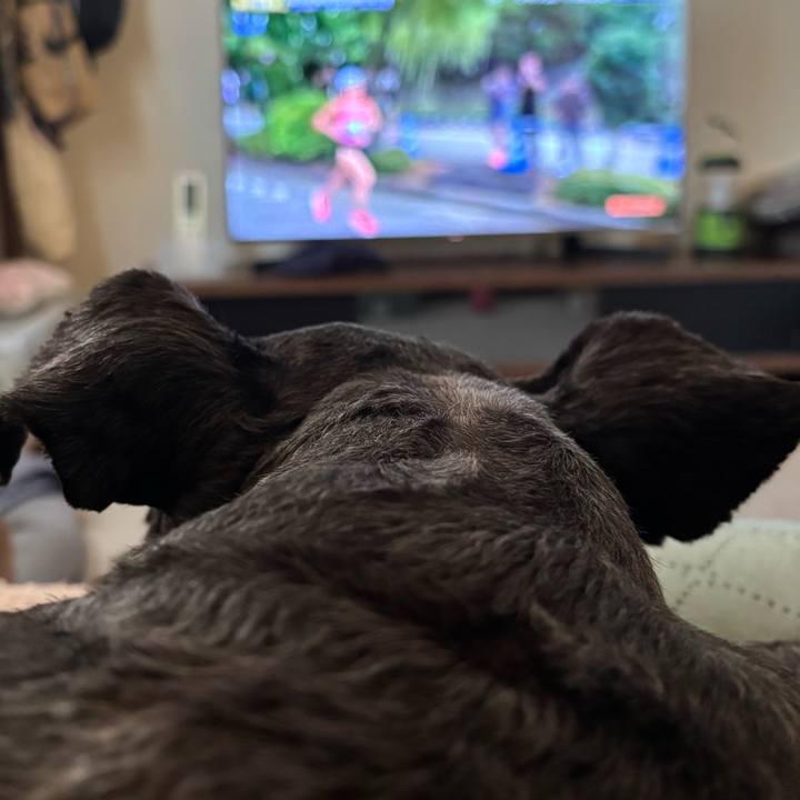 D536fd81 e482 4da2 beb4 d1a769bd284e 1757840848841