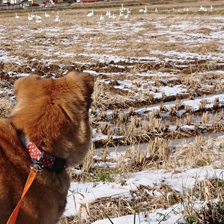 D53716f6 48d1 4a0d 9e46 e70b5057a900 1641199148169