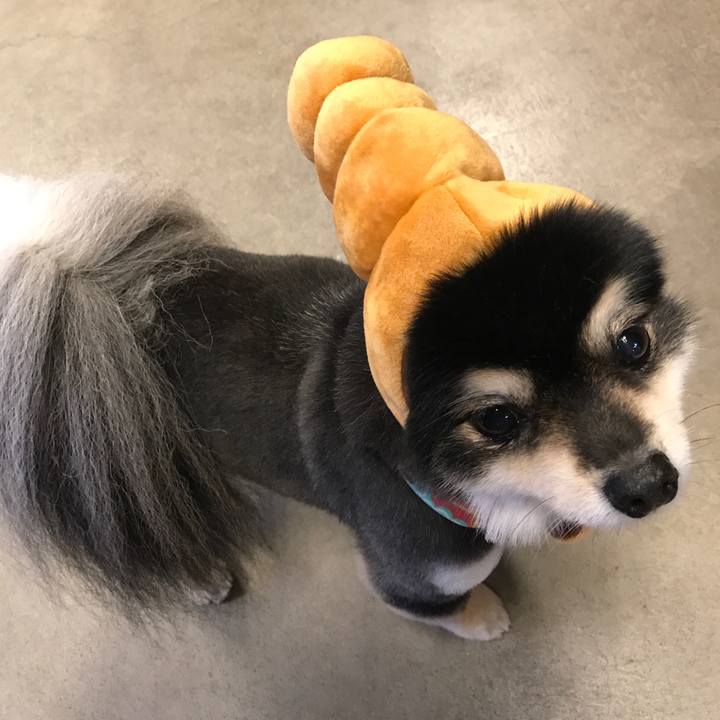 D53753b9 b158 4170 95d8 62c1387cfc89 1516287619770