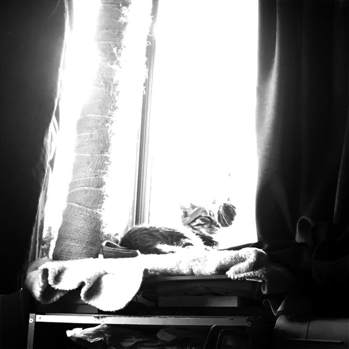 D53770a3 baf4 4ab9 9536 a485a9d78d55 1543275862103