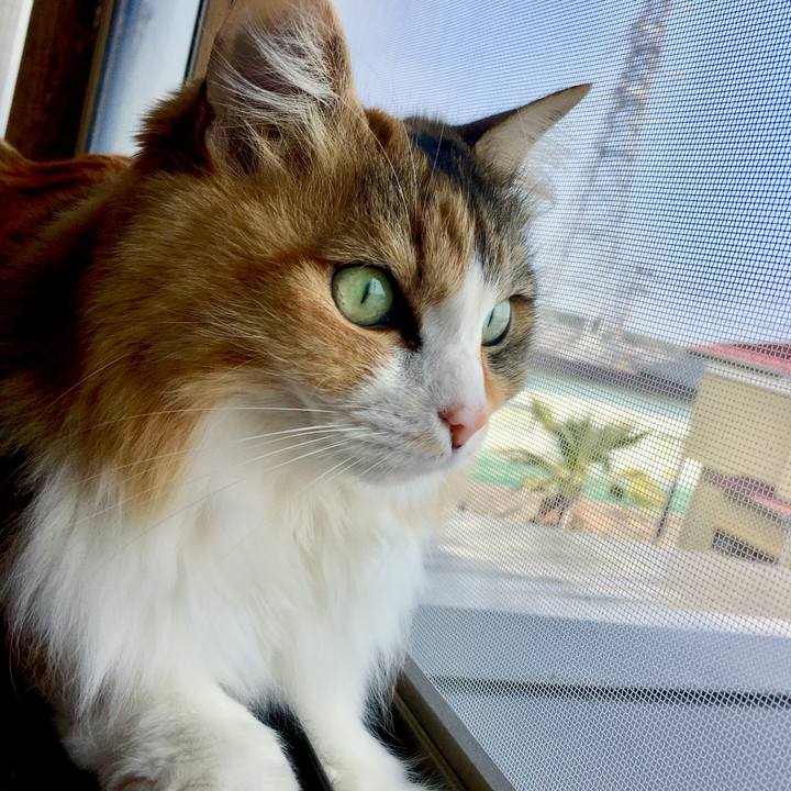 D53790c8 e25f 4621 9f68 6d0d50137625 1554436234982