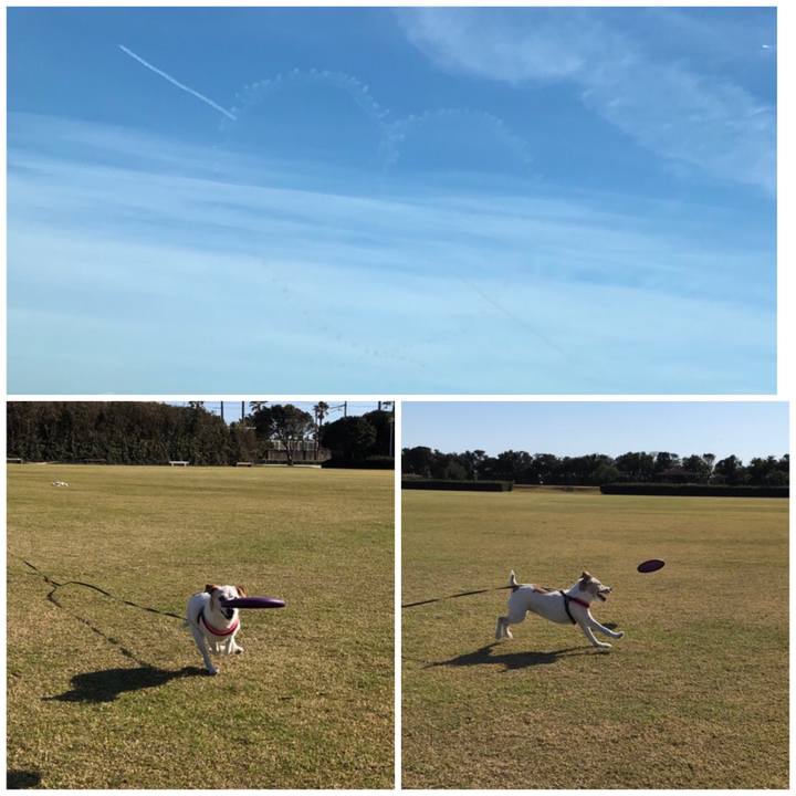 D537abe0 106b 4633 9f31 bb456d3b4573 1543138451345