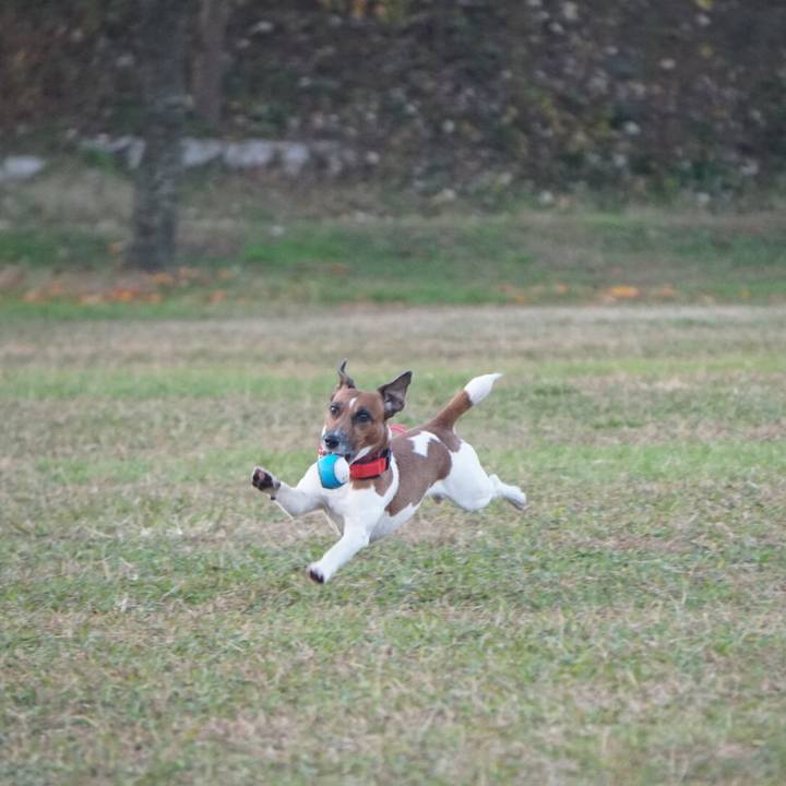 D537d408 6be2 463c a49f f918da3f1c1c 1543185669528