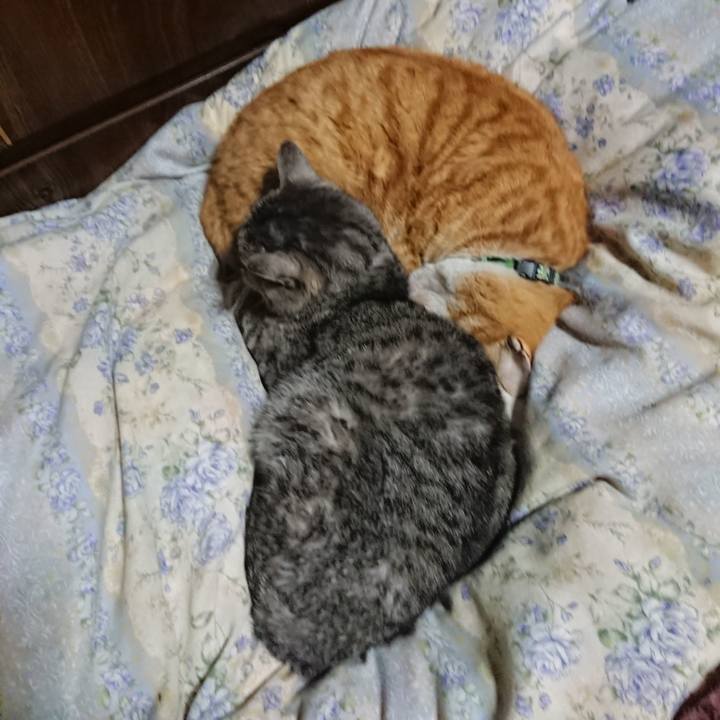 D537f2ee 8a15 4f14 92f6 f4659175b7ca 1582721994601