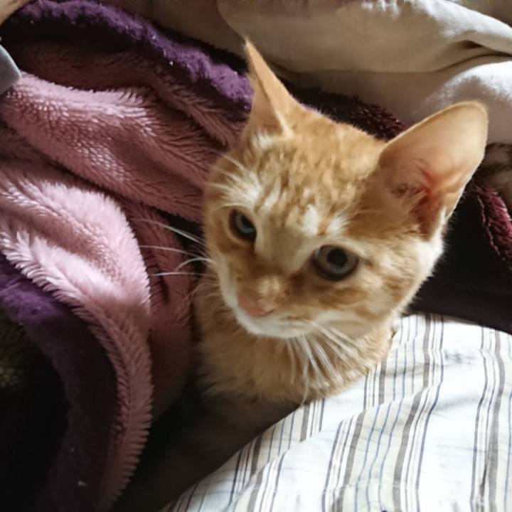 D537f799 fa87 434f 81ca df62bdfe560d 1635280221835