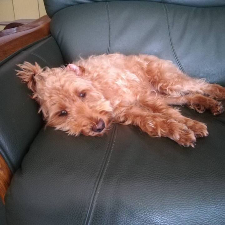 D538fc21 b025 416b 8e84 78ef36bf3c4d 1533458513704