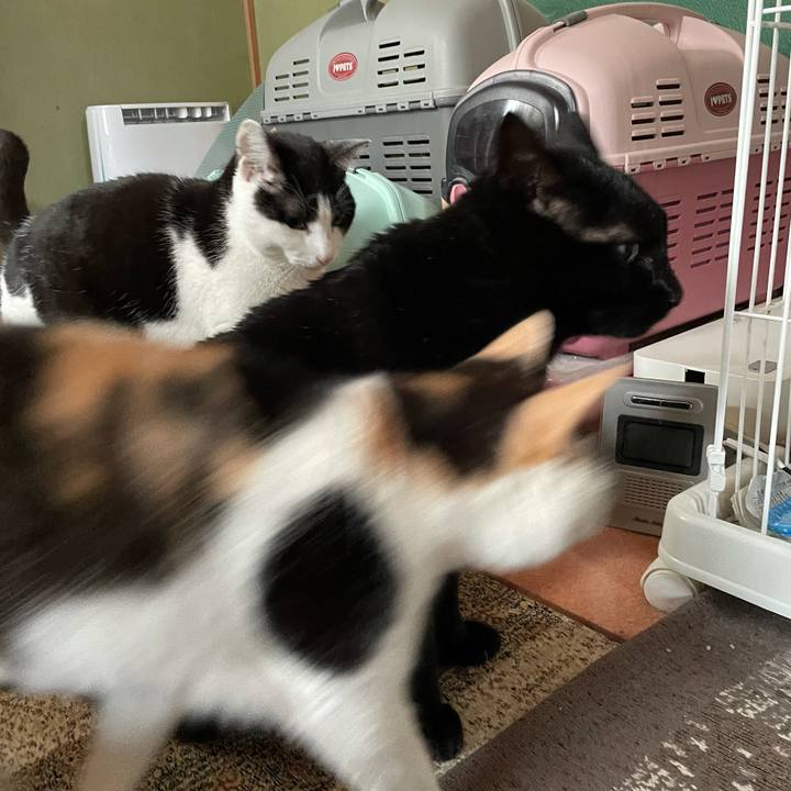 D5391313 070a 436a 9cf5 2483607e0ea1 1611280363254