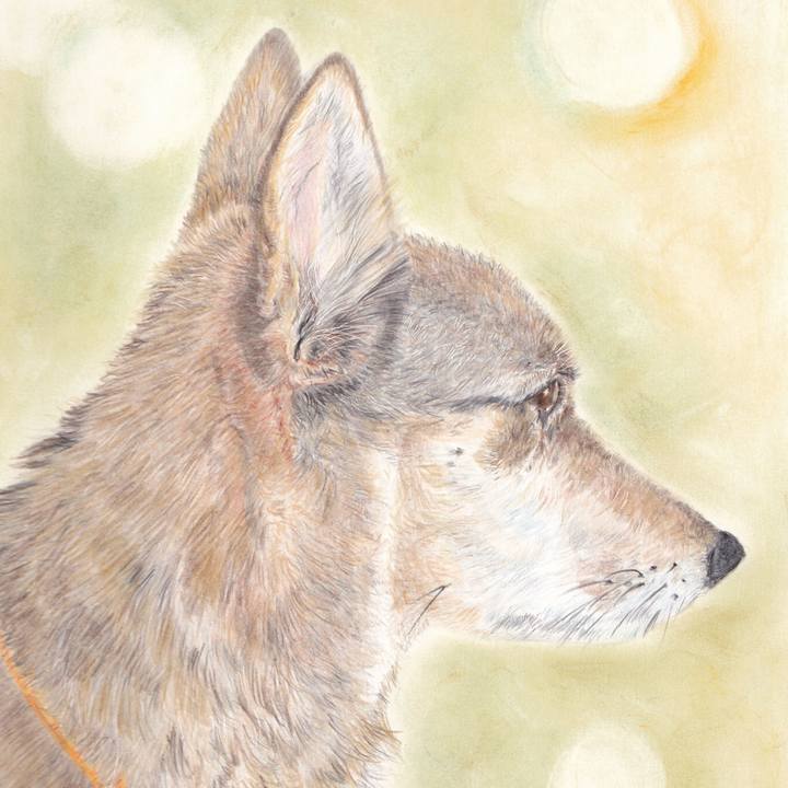 D5393d93 60a8 48c2 9bc0 2904abb23849 1655819453578