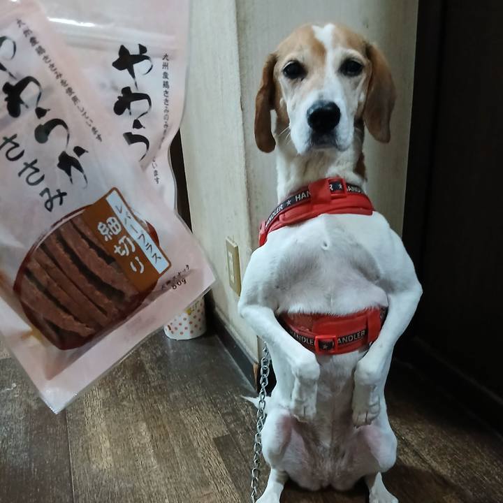 D539a272 3c5f 4835 8b63 b08191354984 1762599049736