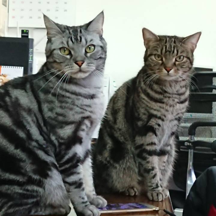 D539d6c7 bafe 490a ba77 952626b47d28 1578916640919