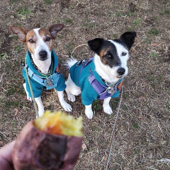 D53a1bc6 8c77 40d5 a583 8367e8574a0d 1737789911862