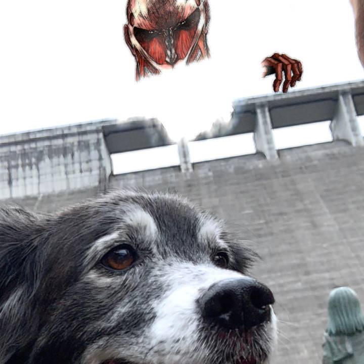 D53a2d5e 5253 4951 a5bc adb6a8127130 1615347452660