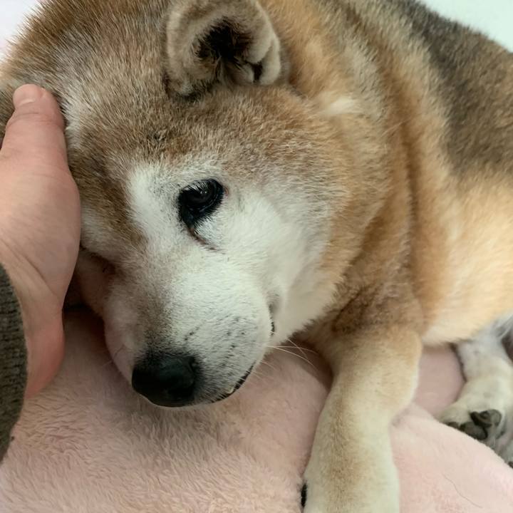 D53a2f83 2256 48bd 84fb 535381dcfa50 1638241533500