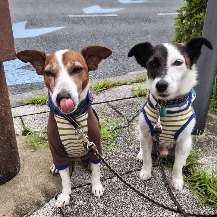 D53a3694 5378 436c 8a45 70e12291c86c 1752184648618