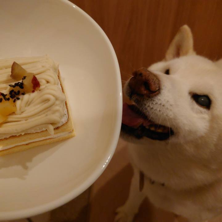 D53a58a6 685a 4fdb ad03 36c8e54fcbc4 1764068357210